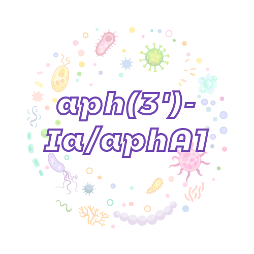 抗性基因 aph(3')-Ia/aphA1-绝对定量PCR试剂盒