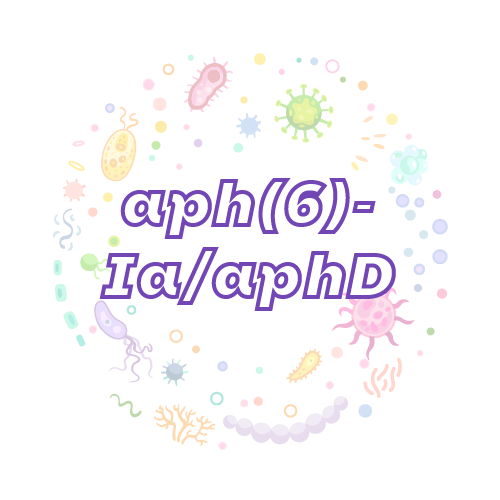 抗性基因 aph(6)-Ia/aphD-绝对定量PCR试剂盒
