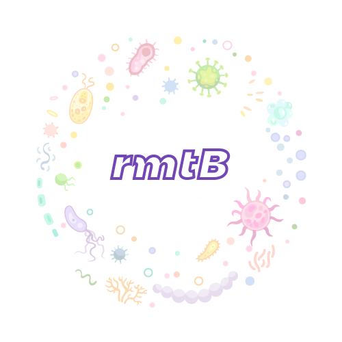 抗性基因 rmtB-绝对定量PCR试剂盒