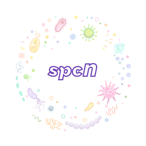 抗性基因 spcN-绝对定量PCR试剂盒