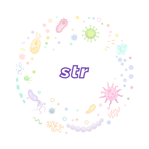 抗性基因 str-绝对定量PCR试剂盒