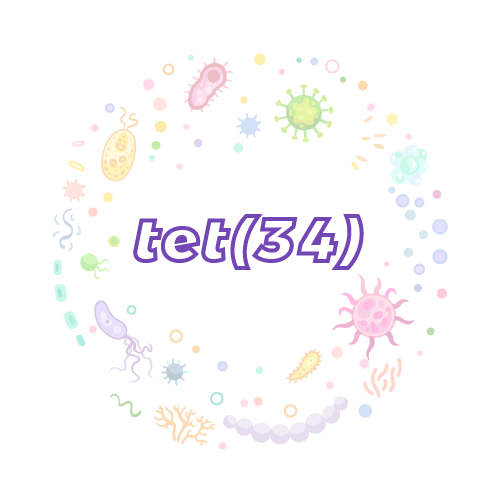 抗性基因 tet(34)-绝对定量PCR试剂盒