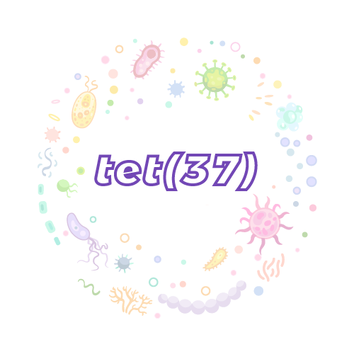 抗性基因 tet(37)-绝对定量PCR试剂盒