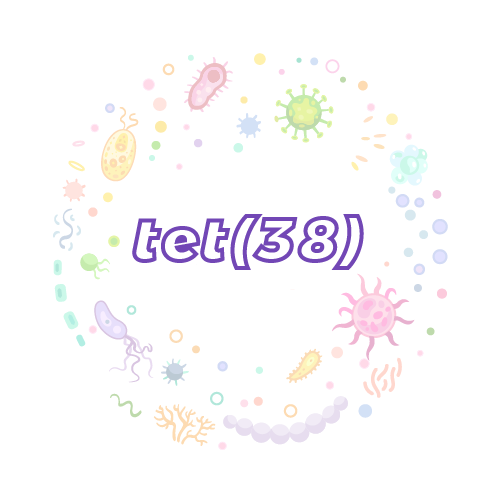 抗性基因 tet(38)-绝对定量PCR试剂盒