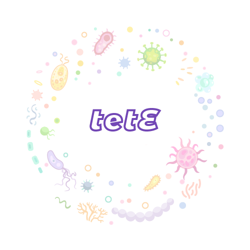 抗性基因 tetE-绝对定量PCR试剂盒
