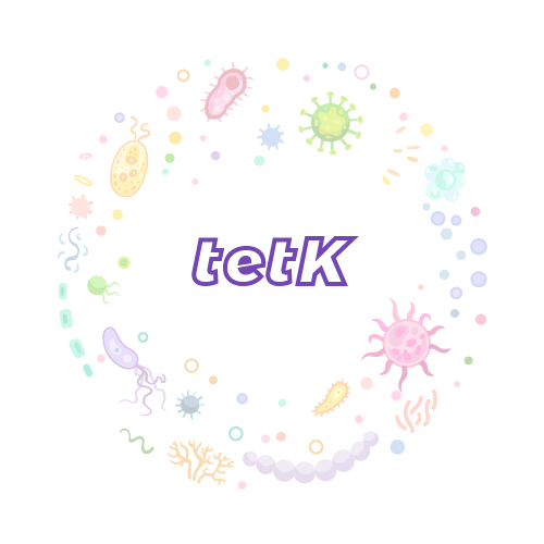抗性基因 tetK-绝对定量PCR试剂盒
