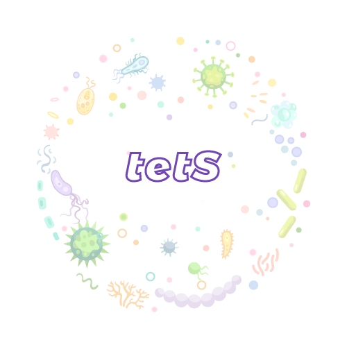 抗性基因 tetS-绝对定量PCR试剂盒