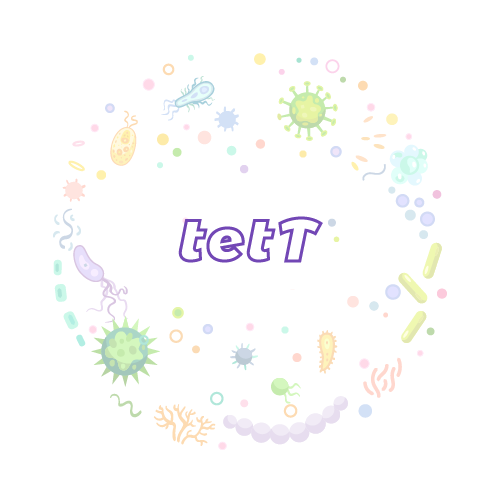 抗性基因 tetT-绝对定量PCR试剂盒