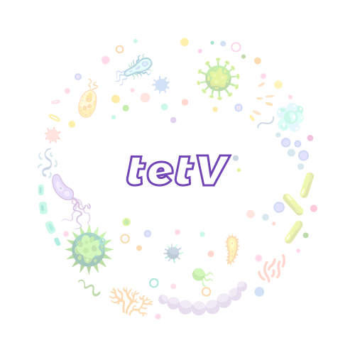 抗性基因 tetV-绝对定量PCR试剂盒