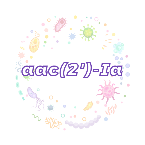 抗性基因 aac(2')-Ia-绝对定量PCR试剂盒
