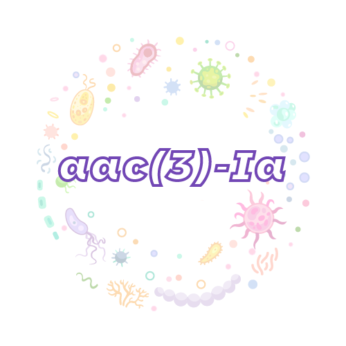 抗性基因 aac(3)-Ia-绝对定量PCR试剂盒
