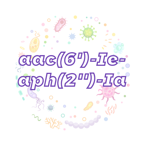 抗性基因 aac(6')-Ie-aph(2'')-Ia-绝对定量PCR试剂盒