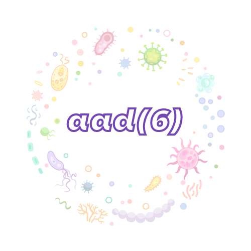 抗性基因 aad(6)-绝对定量PCR试剂盒