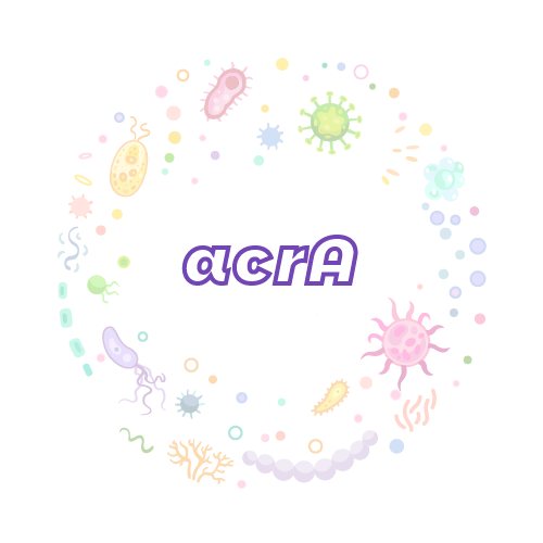 抗性基因 acrA-绝对定量PCR试剂盒