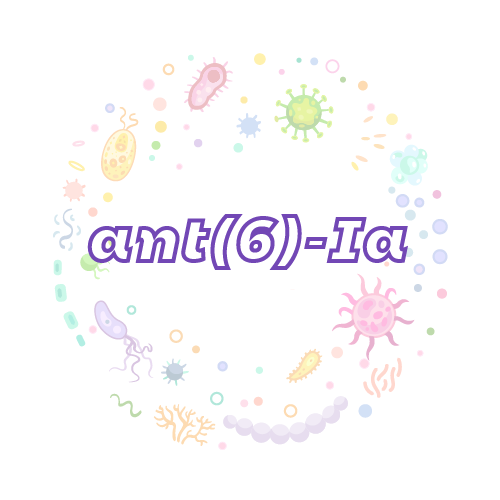 抗性基因 ant(6)-Ia-绝对定量PCR试剂盒