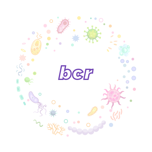 抗性基因 bcr-绝对定量PCR试剂盒