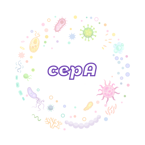 抗性基因 cepA-绝对定量PCR试剂盒