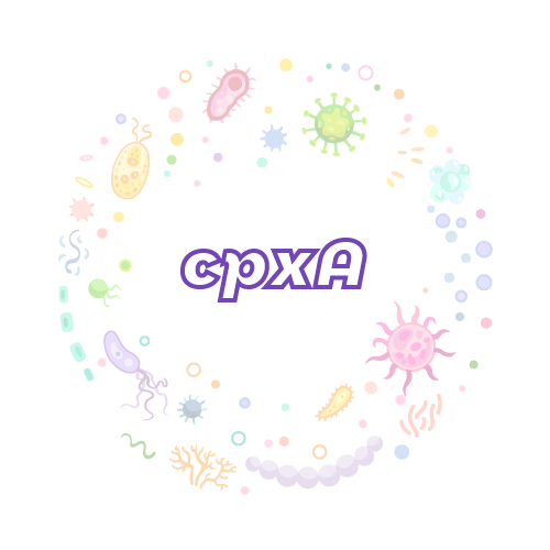 抗性基因 cpxA-绝对定量PCR试剂盒