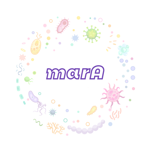 抗性基因 marA-绝对定量PCR试剂盒