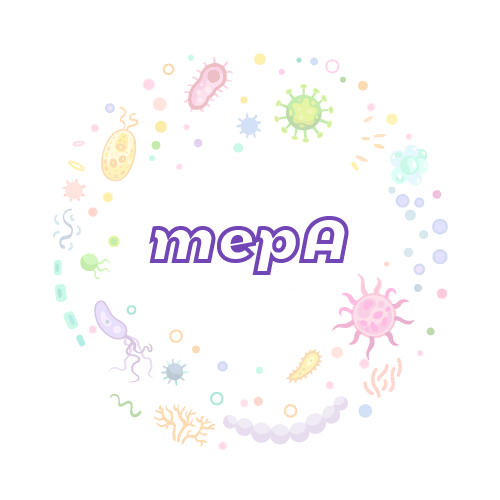 抗性基因 mepA-绝对定量PCR试剂盒