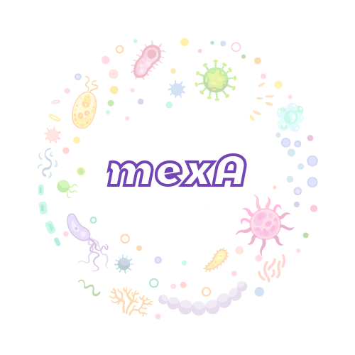 抗性基因 mexA-绝对定量PCR试剂盒
