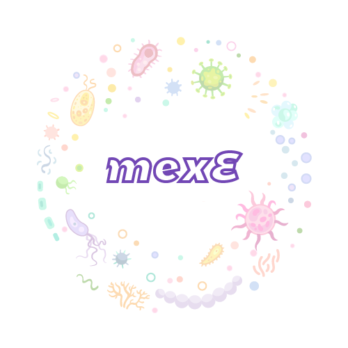抗性基因 mexE-绝对定量PCR试剂盒