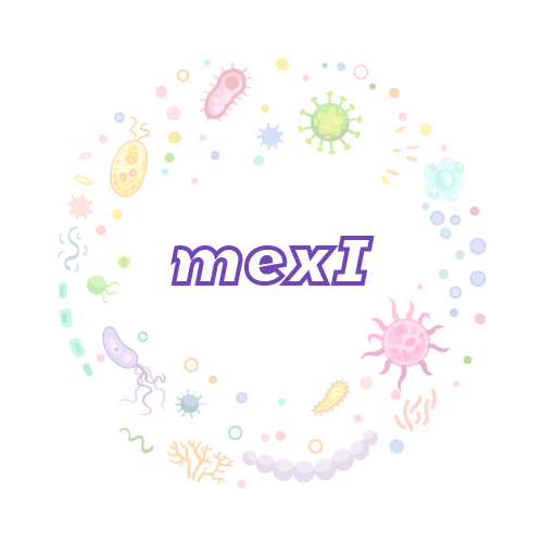 抗性基因 mexI-绝对定量PCR试剂盒