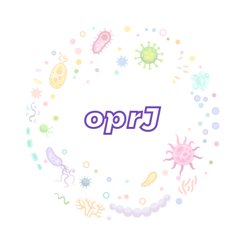 抗性基因 oprJ-绝对定量PCR试剂盒