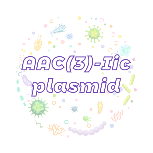 抗性基因 AAC(3)-Iic 质粒标准品