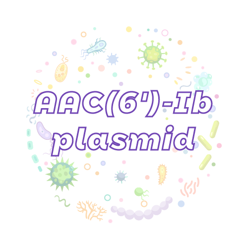 抗性基因 AAC(6')-Ib 质粒标准品