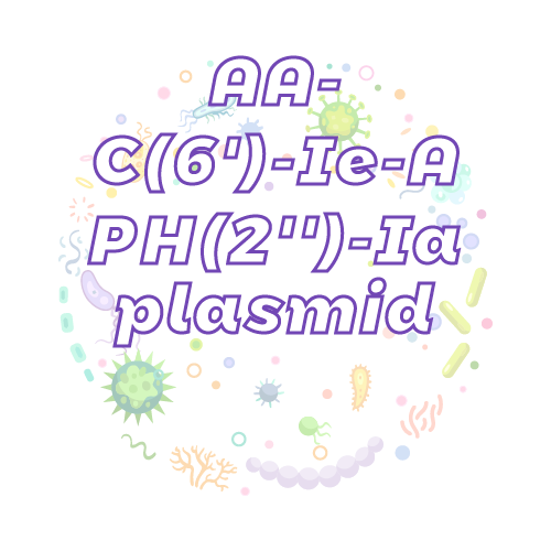 抗性基因 AAC(6')-Ie-APH(2'')-Ia 质粒标准品