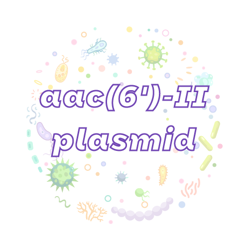 抗性基因 aac(6')-II 质粒标准品