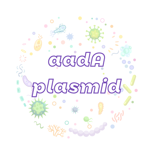 抗性基因 aadA 质粒标准品