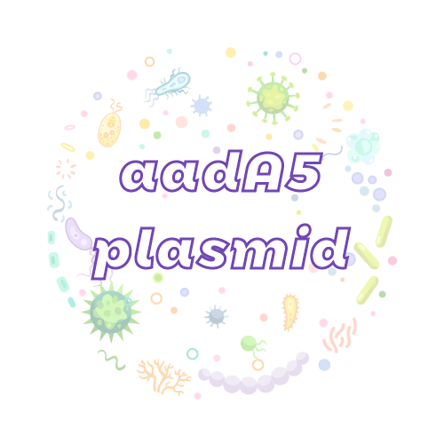 抗性基因 aadA5 质粒标准品