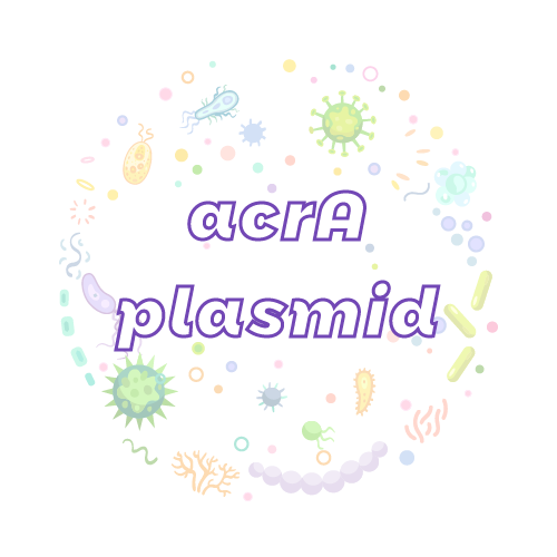 抗性基因 acrA 质粒标准品