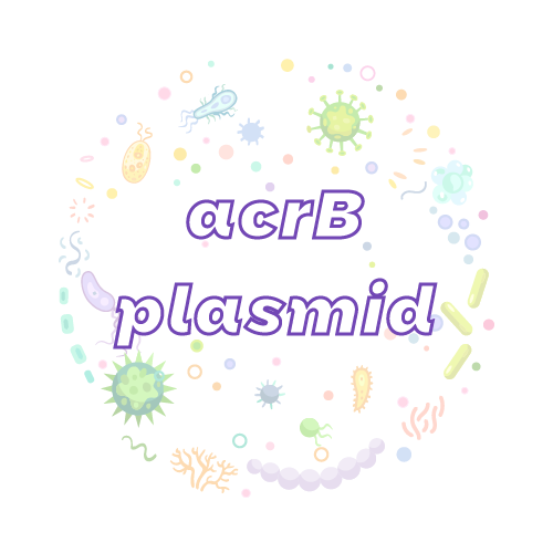抗性基因 acrB 质粒标准品