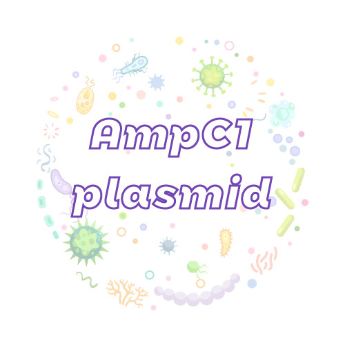 抗性基因 AmpC1 质粒标准品