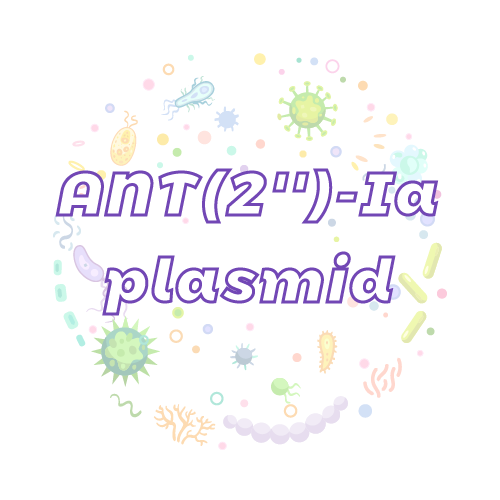 抗性基因 ANT(2'')-Ia 质粒标准品