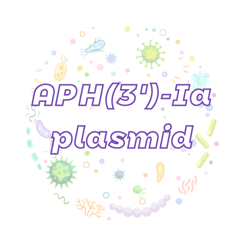 抗性基因 APH(3')-Ia 质粒标准品