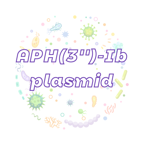 抗性基因 APH(3'')-Ib 质粒标准品