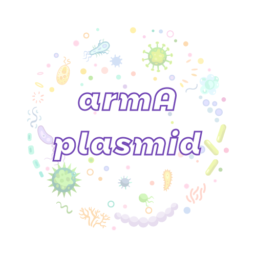 抗性基因 armA 质粒标准品