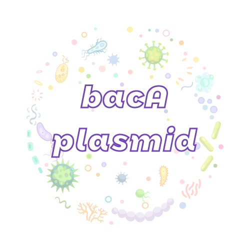 抗性基因 bacA 质粒标准品