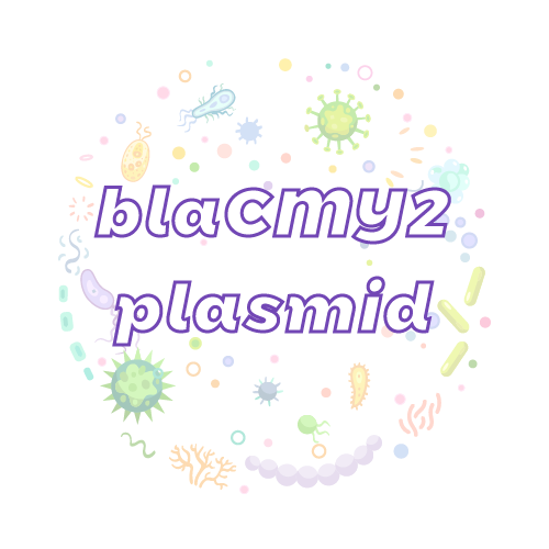 抗性基因 blaCMY2 质粒标准品