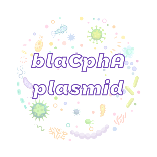 抗性基因 blaCphA 质粒标准品