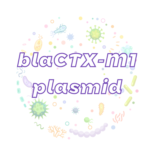 抗性基因 blaCTX-M1 质粒标准品