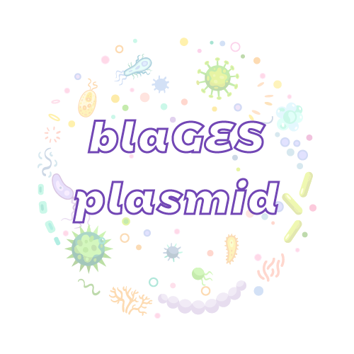 抗性基因 blaGES 质粒标准品