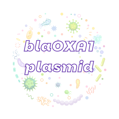 抗性基因 blaOXA1 质粒标准品