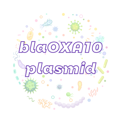 抗性基因 blaOXA10 质粒标准品