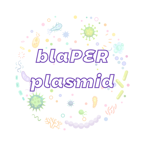 抗性基因 blaPER 质粒标准品