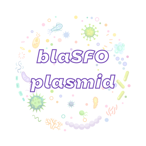 抗性基因 blaSFO 质粒标准品